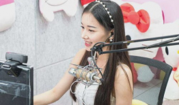 国产女主播直播平台91,引领潮流的娱乐新天地