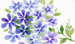 卡通漫画花,绽放的奇幻世界